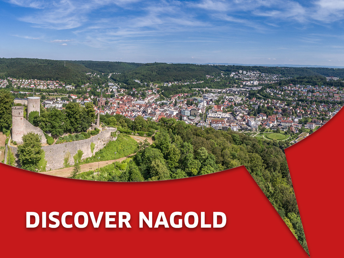 Career discover Nagold and helag-electronic